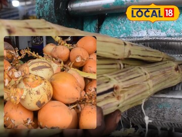 செங்கரும்பில்