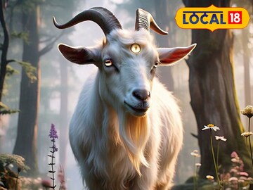 இந்த மாதிரி ஆட்டை எங்கேயும் பார்க்க முடியாது... அரிய ஆட்டை அதிசயத்து பார்க்கும் மக்கள்...