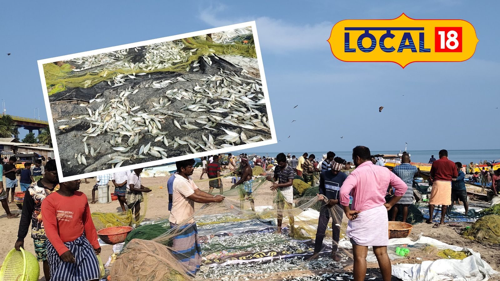“இந்த ₹.35 வைத்து தான் 61 நாள்  ஓட்டி ஆகணும்” - தடை காலத்திலும் குறைந்த மீன்களின் விலை... - News18 தமிழ்