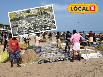 வெளியூர்