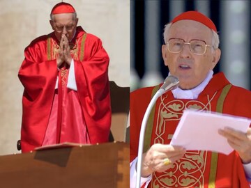 கார்டினல் ரே