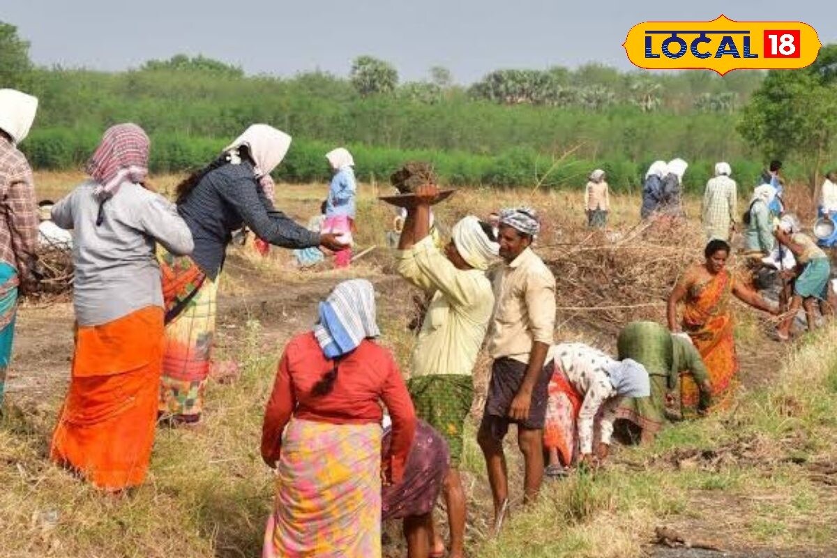 100 நாள் வேலைத்திட்டம்.. தமிழ்நாட்டிற்கு ஒரு ரூபாய் கூட கொடுக்கப்படவில்லையா ? - News18 தமிழ்