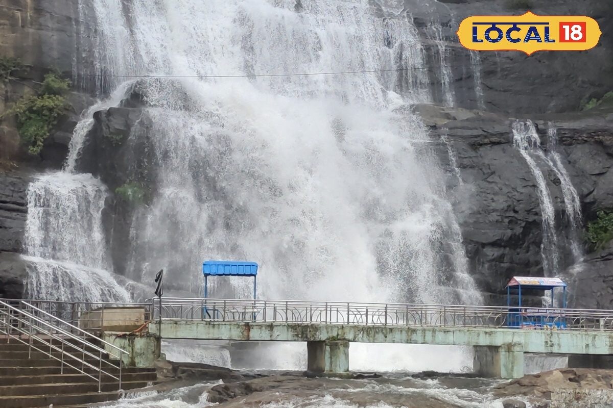 மீண்டும் மீண்டுமா ? குற்றாலத்தில் திடீரென ஏற்பட்ட வெள்ளப்பெருக்கு.. குளிக்கத் தடை - News18 தமிழ்