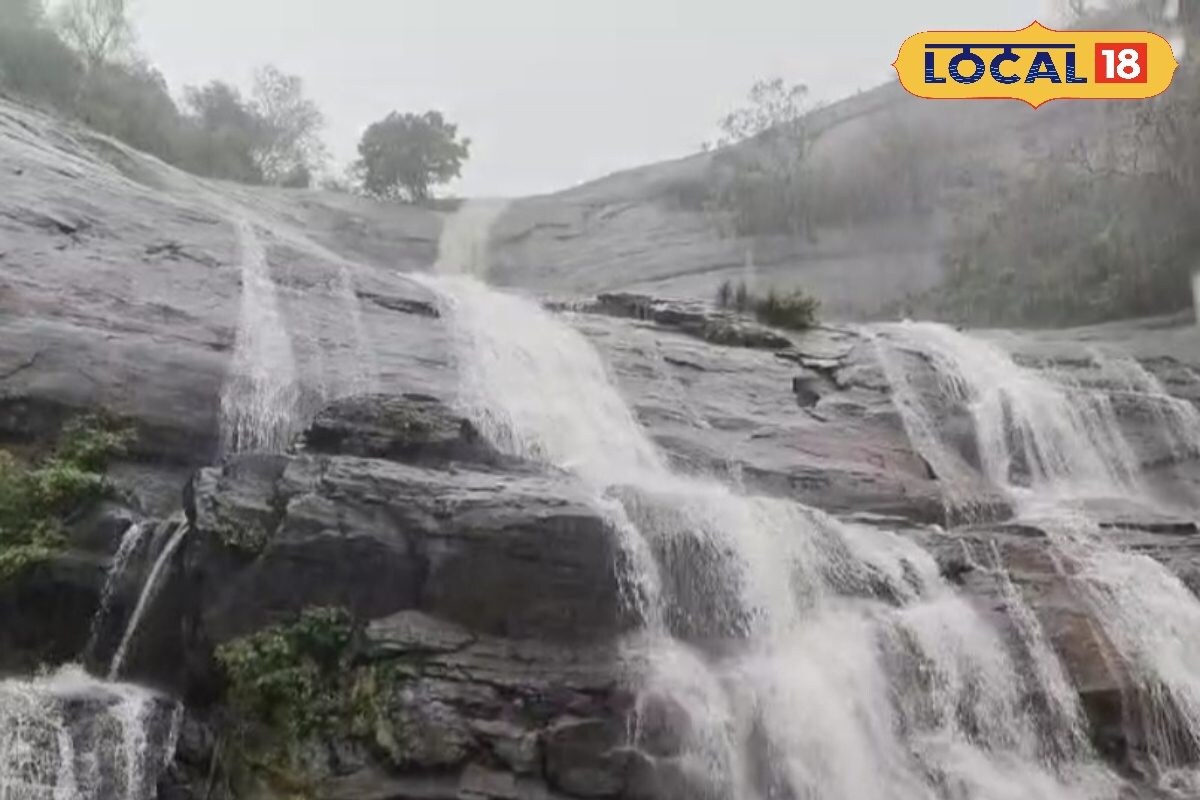 ஆர்ப்பரித்துக் கொட்டும் அருவிகள்... குற்றாலத்தில் குளிக்கப் போகும் முன்ன இத பாருங்க... - News18 தமிழ்