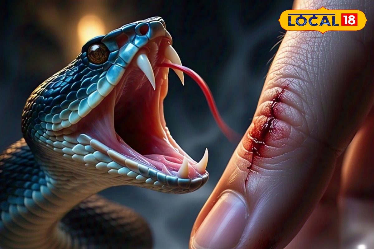 விஷப்பாம்பு கடிச்சுச்சுனா தயவு செஞ்சு இதை மட்டும் பண்ணாதீங்க... !!