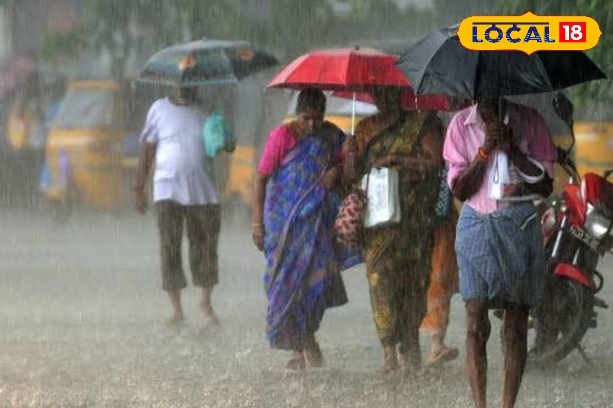 கோடை வெப்பத்தை தனித்த மழை.. குளிர்ச்சியான சூழல் நிலவுவதால் சேலம் மக்கள் மகிழ்ச்சி...!! - News18 தமிழ்