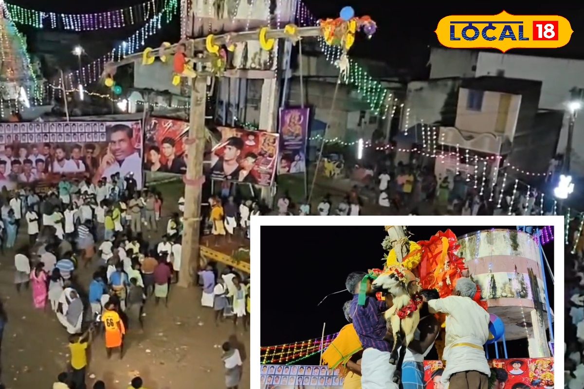 ஆட்டிற்கு அலகு குத்தி நேர்த்திக்கடன்!!  கிராம மக்களின் வியக்க வைக்கும் வினோத வழிபாடு... - News18 தமிழ்