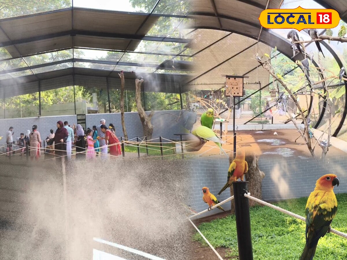 சாரல் அடிக்குது இதயம் பறக்குது!!  தஞ்சை பறவைகள் பூங்காவில் ஸ்ப்ரே மூலம் தண்ணீர் தெளிப்பு!  - News18 தமிழ்