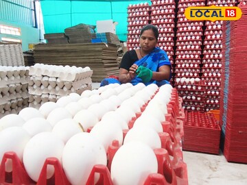 மயோனைஸ்