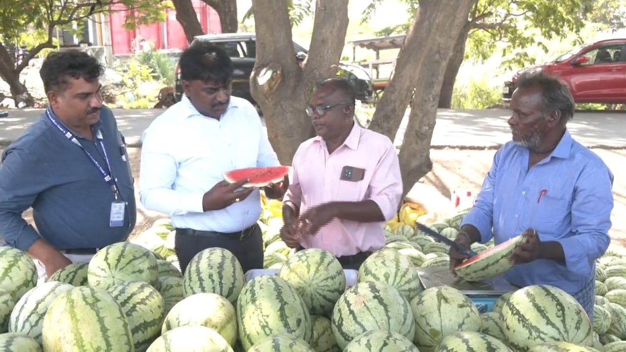 தர்பூசணி பழங்களை  உணவு பாதுகாப்புத் துறையினர் ஆய்வு