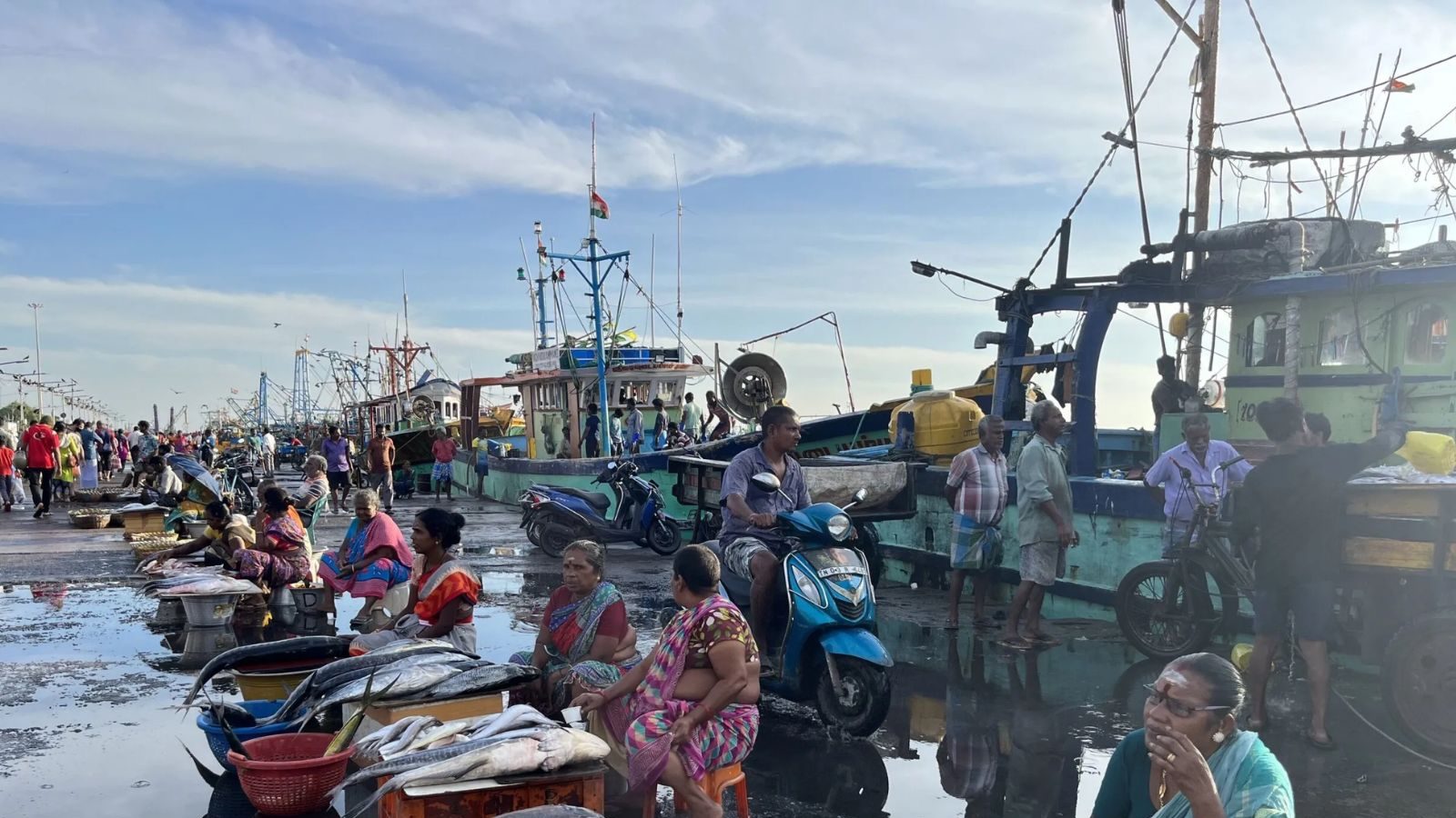 மீன் பிடி தடைக்காலம்.. காசிமேட்டில் குறைந்த மக்கள் எண்ணிக்கை! - News18 தமிழ்