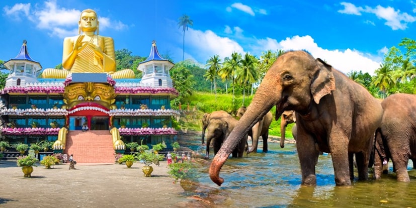  அங்கு வரலாற்றுச் சின்னங்கள், கடற்கரைகள், மலைகள், தேசிய பூங்காக்கள் மற்றும் கொழும்பு, யாழ்ப்பாணம் போன்ற நகரங்களும் சுற்றுலாப் பயணிகளை கவரும் முக்கிய இடங்கள் ஆகும். மேலும், இங்கு சுற்றுலா செல்ல திட்டமிடுபவர்கள், இலங்கையின் காலநிலை குறித்து அவசியம் தெரிந்து கொண்டு திட்டமிடுவது சிறந்தது.