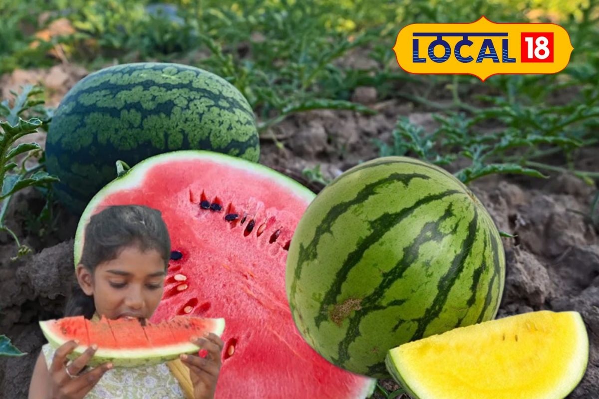 ”தர்பூசணியின் மேல் திணிக்கப்படும் விமர்சனங்கள்” - உண்மை நிலவரம் இதுதான்...