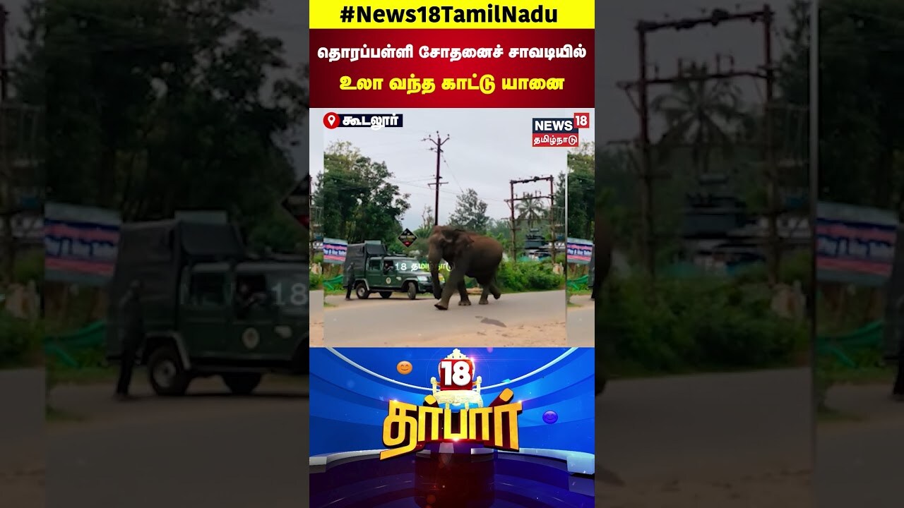 18 Darbar | தொரப்பள்ளி சோதனைச் சாவடியில்SubscriptionsINஉலா வந்த காட்டு யானை | N18S