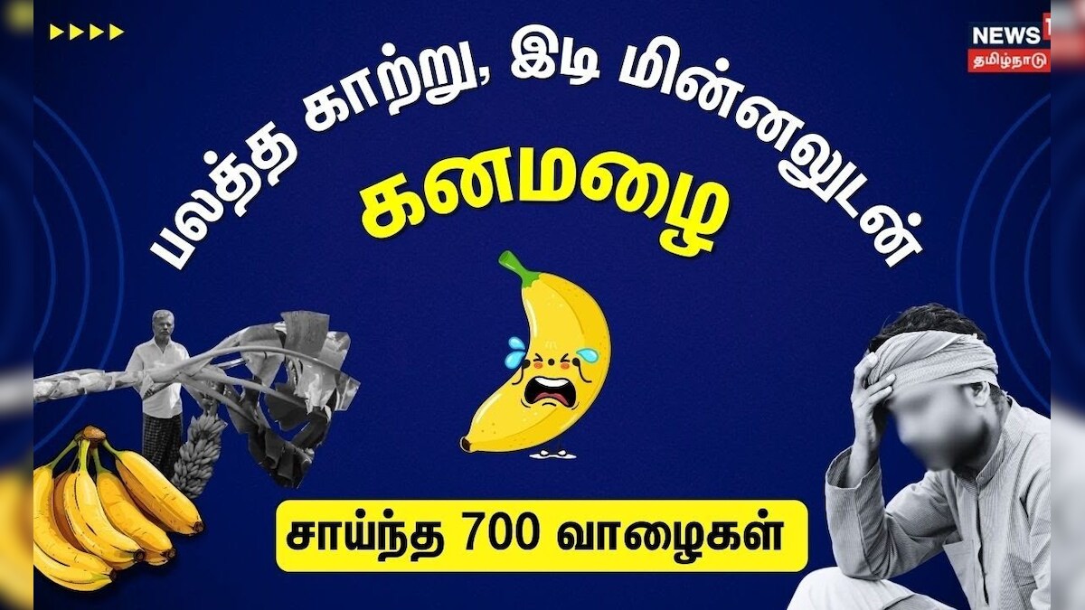 Pudukkottai | Heavy Rain | பலத்த காற்று, இடி மின்னலுடன் கனமழை - சாய்ந்த 700 வாழைகள் | Banana Trees