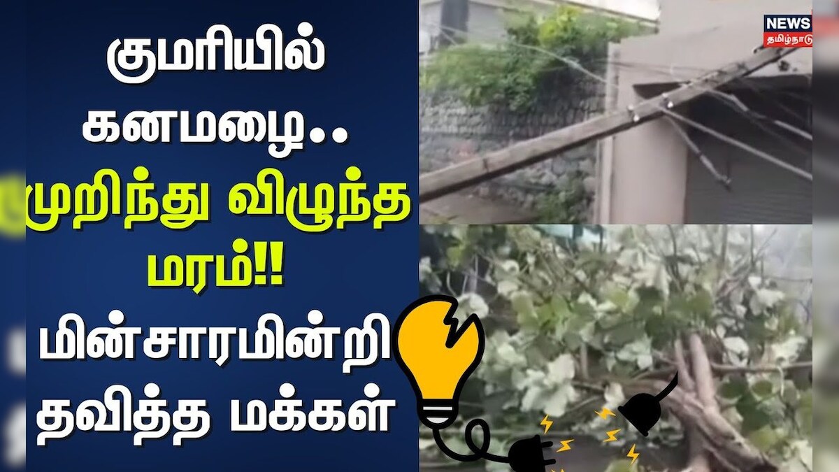 Kanyakumari Rain | குமரியில் கனமழை - முறிந்து விழுந்த மரம் - மின்சாரமின்றி தவித்த மக்கள்