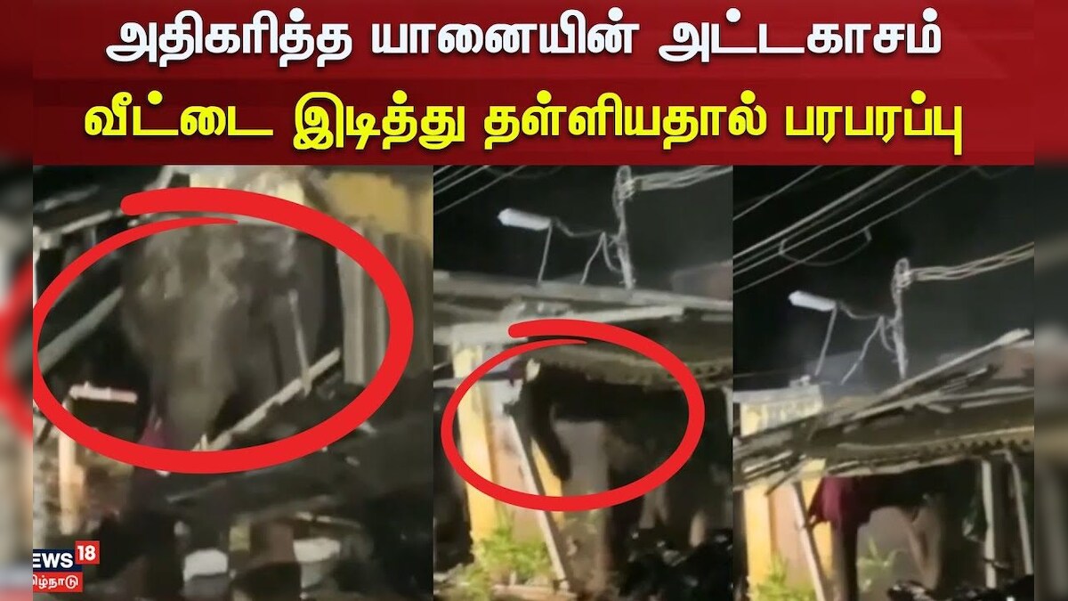 Coimbatore | Elephant | அதிகரித்த யானையின் அட்டகாசம் - வீட்டை இடித்து தள்ளியதால் பரபரப்பு