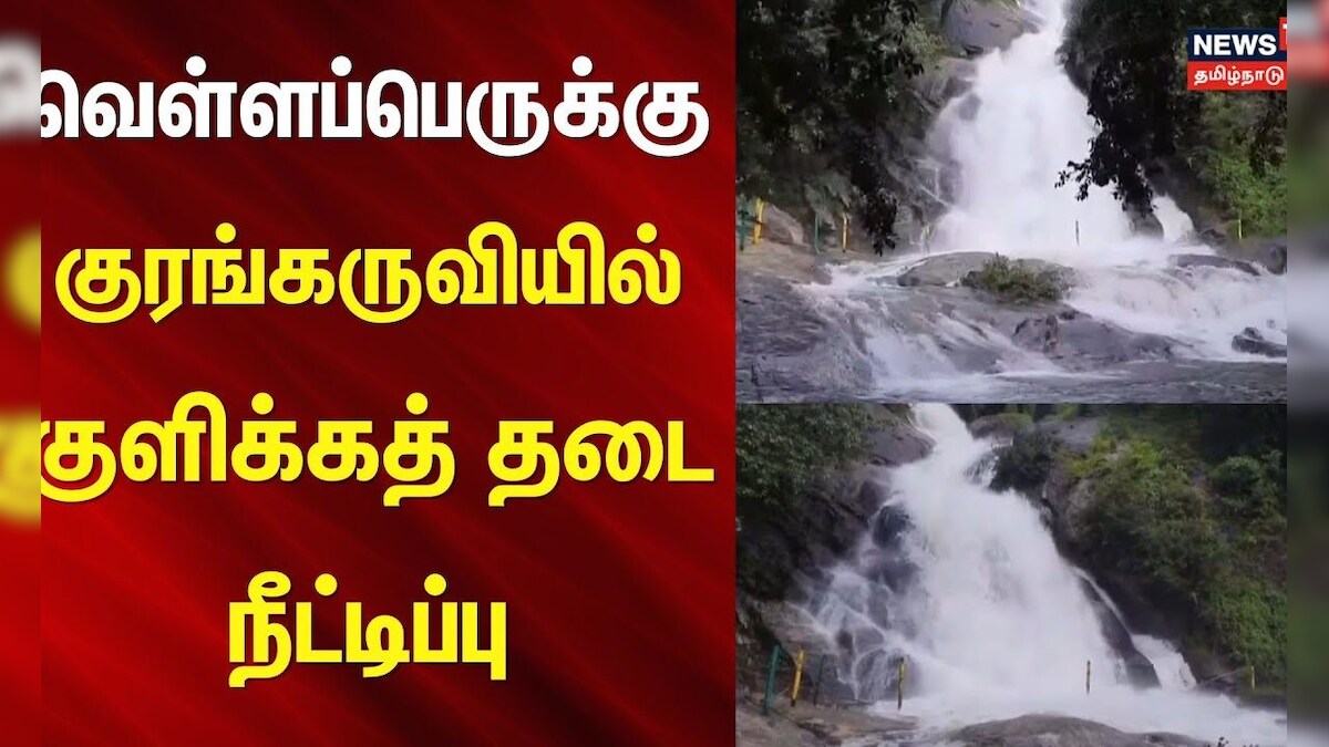 Pollachi | வெள்ளப்பெருக்கு - குரங்கருவியில் குளிக்கத் தடை நீட்டிப்பு | Flood | Heavy Rain