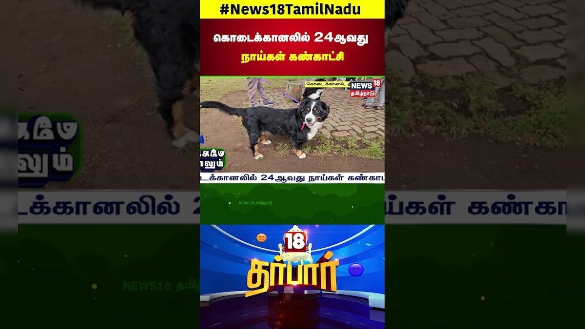 Kodaikanal Dog Show | கோடைகானனில் 24ஆவது நாங்கள் கண்காட்சி | Pet Animals | N18S