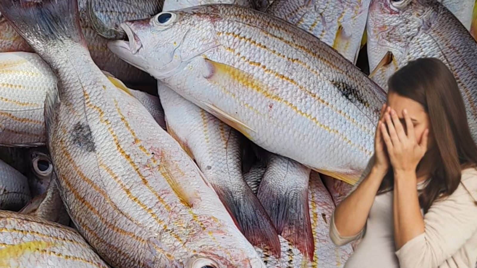 வைட்டமின் சத்து இந்த மீனில் எக்கச்சக்கம்!! ஆனா கர்ப்பிணிகள் மட்டும் தொடாதீங்க... - News18 தமிழ்