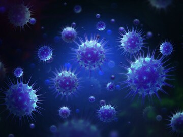 கொரோனா வைரஸ் கொரோனா வைரஸ்