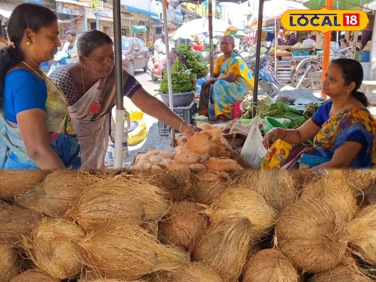 வரலாறு காணாத அளவிற்கு  உயர்ந்த தேங்காய் விலை... கிலோ எவ்வளவு தெரியுமா ? அதிர்ச்சியில் இல்லத்தரசிகள்
