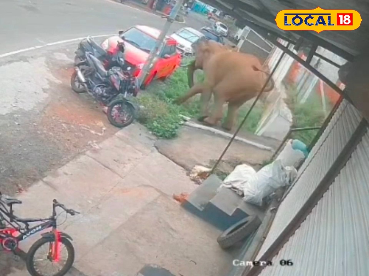 சாலையில் பறந்த கார்... ஆக்ரோஷம் காட்டிய காட்டு யானை... பீதியடைந்த மக்கள்... - News18 தமிழ்