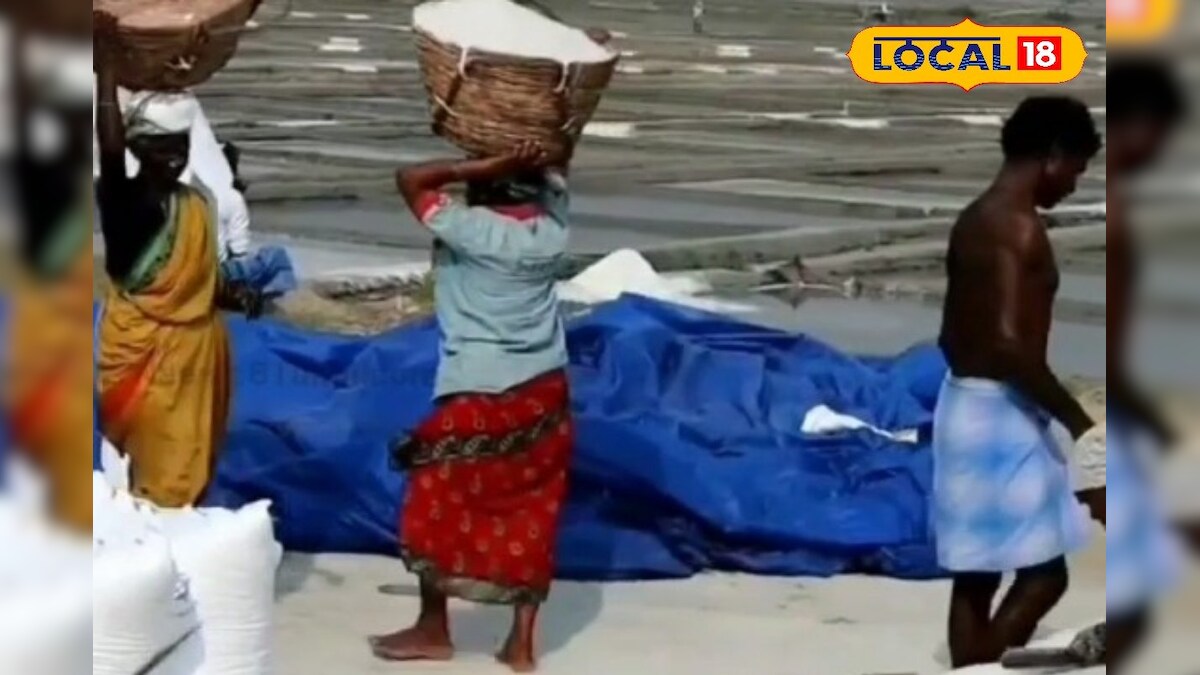 சுட்டெரிக்கும் வெயில் : உப்பு உற்பத்தி அதிகரிப்பு... மகிழ்ச்சியில் தொழிலாளர்கள் .!! - News18 தமிழ்