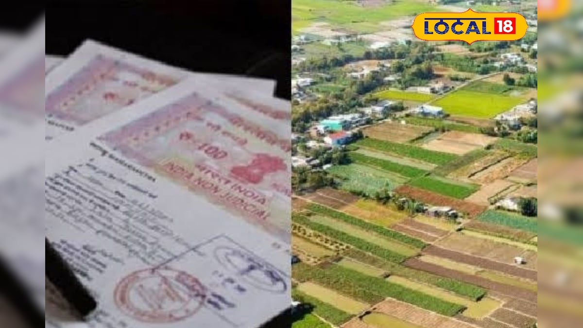 பட்டாவில் திருத்தம் செய்வது இனி ஈசி... இருந்த இடத்திலிருந்தே இனி பதிவு செய்யலாம்... - News18 தமிழ்