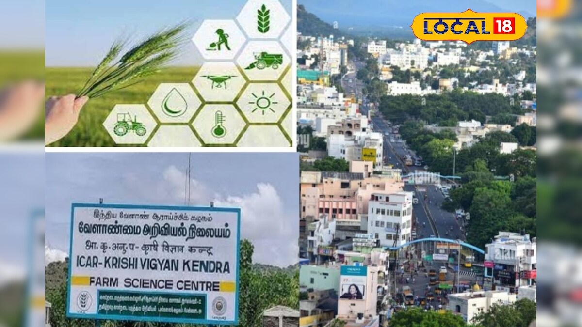 இயற்கை வேளாண்மை குறித்து இலவச பயிற்சி... வேளாண் அறிவியல் மைய தலைவர் அறிவிப்பு... - News18 தமிழ்