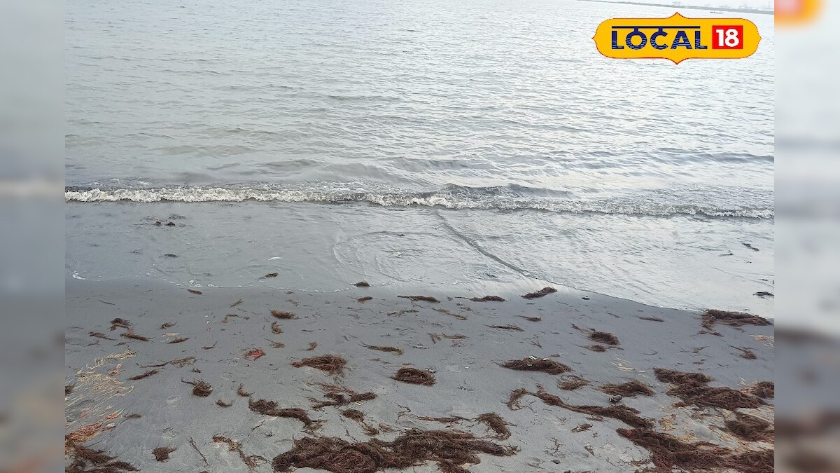 நம்ம ஊரு பீச்சுக்கு என்னதான் ஆச்சு... கடற்கரையில் கால் நனைக்கவே தயங்கும் மக்கள்... - News18 தமிழ்