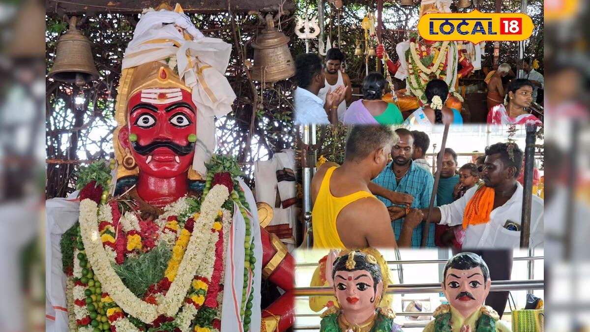 கேட்டதை கொடுக்கும் எல்லைச்சாமி... உயிரை காப்பாற்றிய தெய்வம் என பக்தர்கள் உருக்கம்...!! - News18 தமிழ்