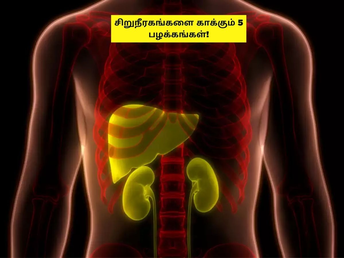 சிறுநீரகம், கல்லீரலை ஆரோக்கியமாக செயல்பட உதவும் 5 பழக்கங்கள்! - News18 தமிழ்