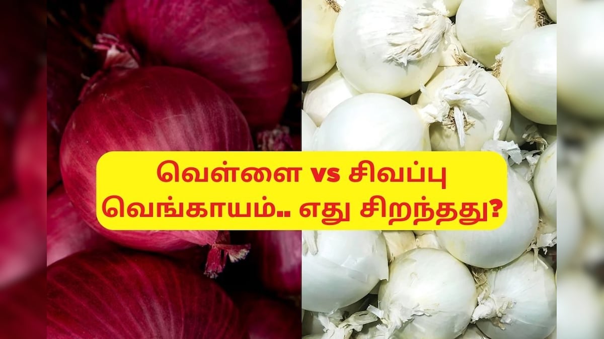 White Onion vs Red Onion: வெள்ளை வெங்காயம் vs சிவப்பு வெங்காயம்.. எது ஆரோக்கியத்திற்கு சிறந்தது? எதில் நன்மைகள் அதிகம்!