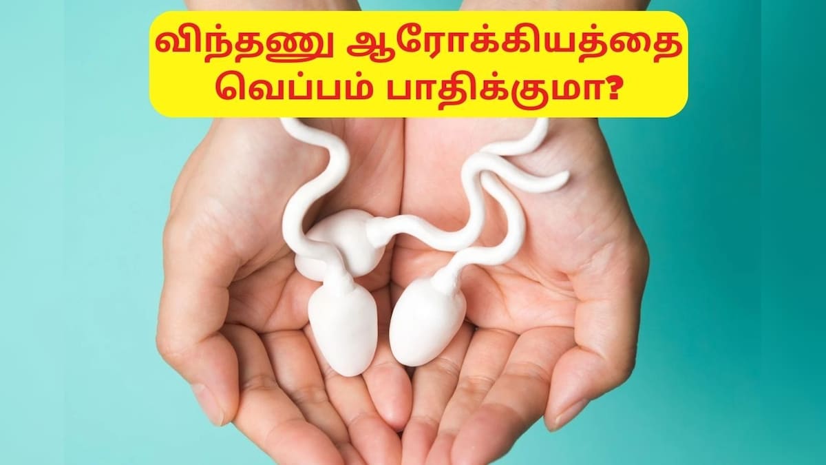 Sperm Health: ஆண்களின் விந்தணுக்கள் ஆரோக்கியத்தை வெப்பம் பாதிக்குமா..? நிபுணர் விளக்கம்..!
