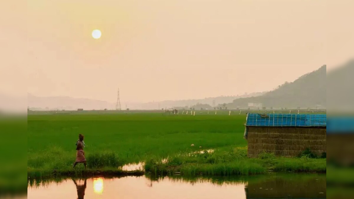 இந்தியாவில் ஒரே ஒரு குடும்பம் மட்டுமே வசிக்கும் தனிமைப்படுத்தப்பட்ட கிராமம்.. ஏன் தெரியுமா..? - News18 தமிழ்