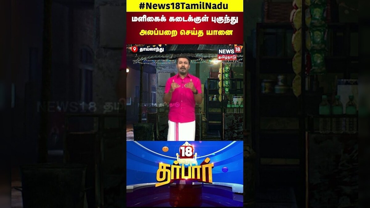 18 Darbar | மளிகைக் கடைக்குள் புகுந்து அலப்பறை செய்த யானை | Elephant | News18 Tamil Nadu