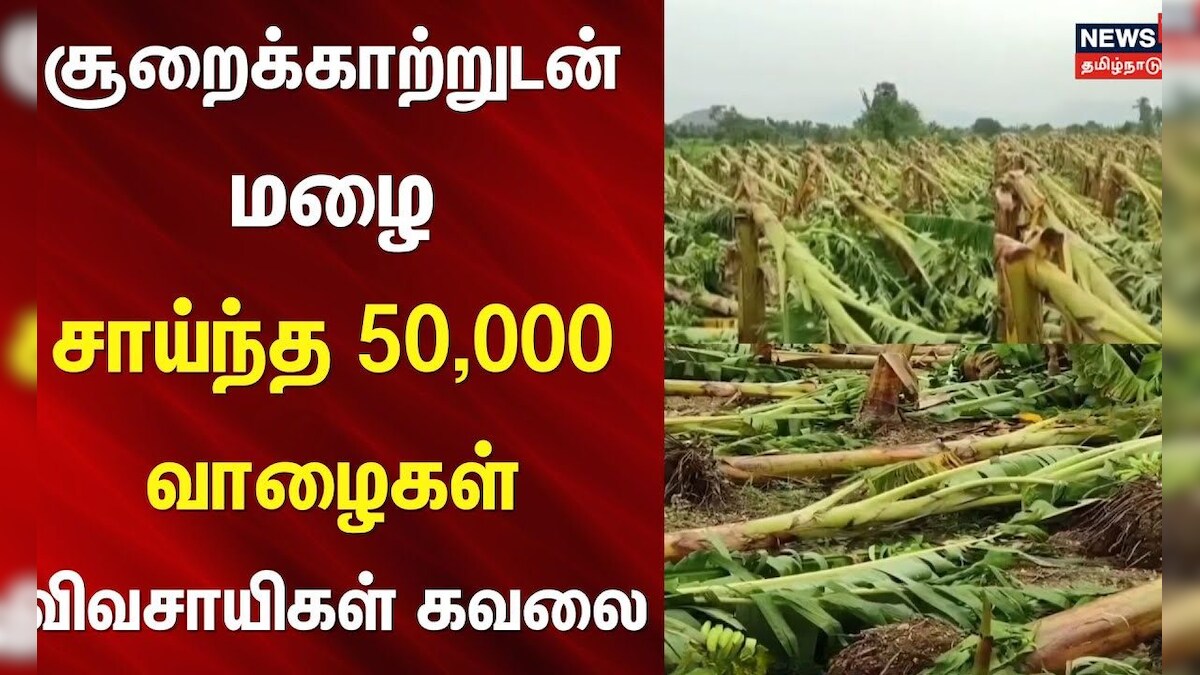 Erode | Rain | சூறைக்காற்றுடன் மழை - சாய்ந்த 50,000 வாழைகள் - விவசாயிகள் கவலை | Nambiyur