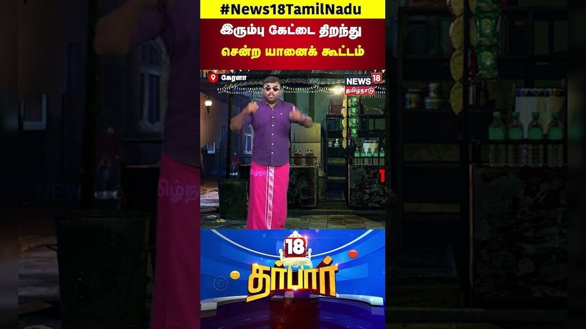 Elephant Video | இரும்பு கேட்டை திறந்து சென்ற யானைக் கூட்டம் | Elephants Cute Video | N18S