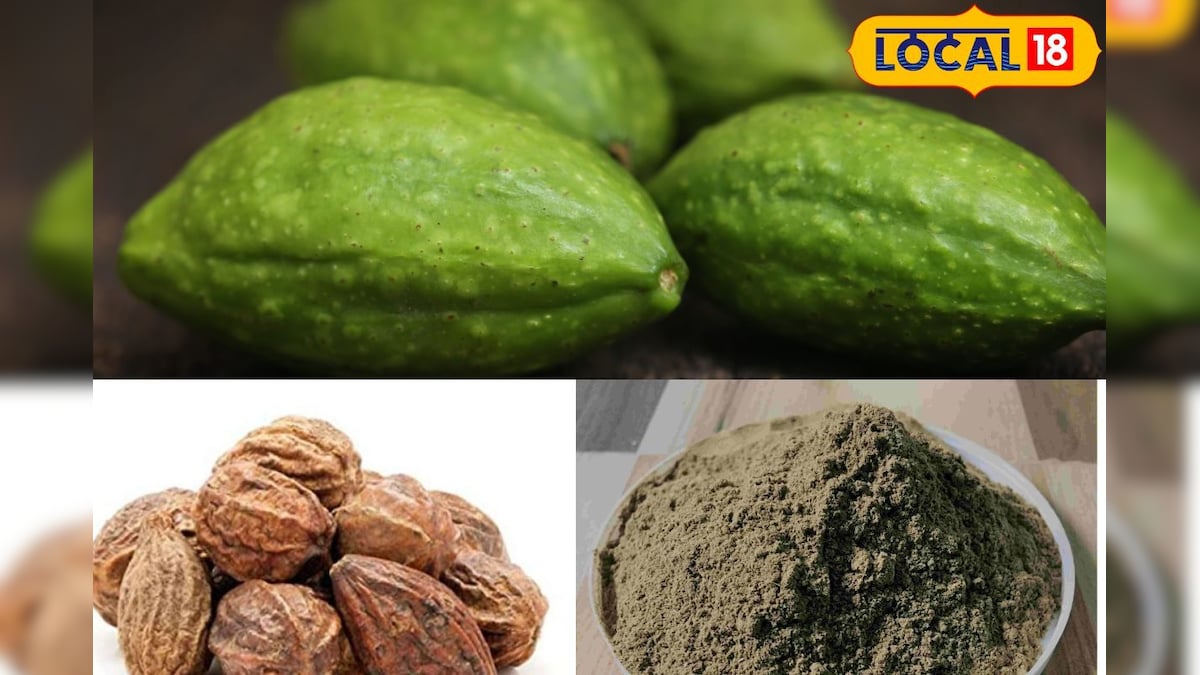 160 நோய்களுக்கு தீர்வாகும் ஒரு காய்... சித்த மருத்துவத்தின் மகத்துவமே இது தான்...