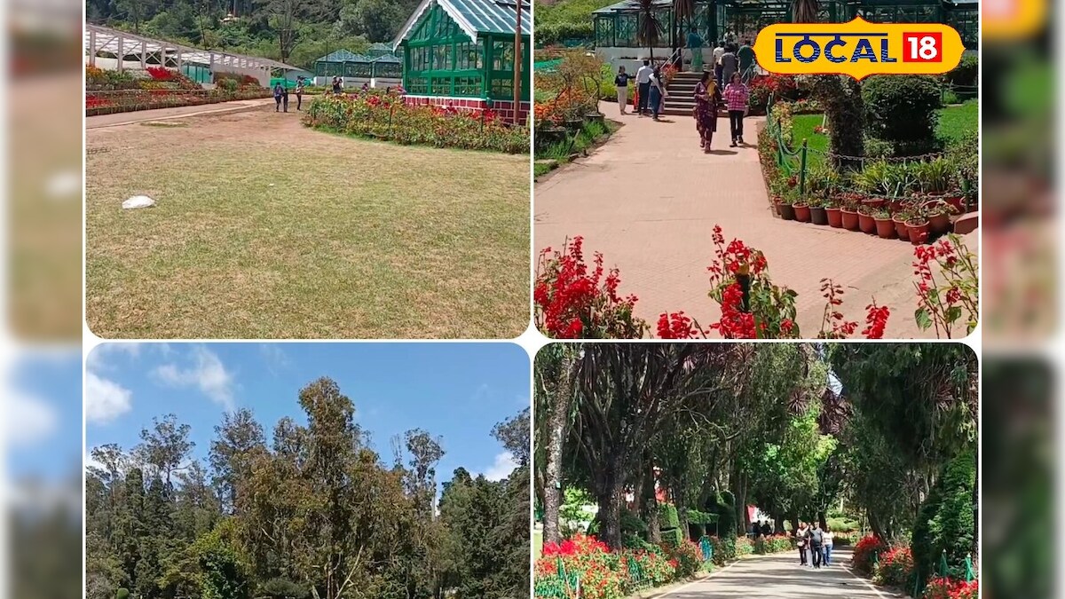 மழையால் களையிழந்த சம்மர் சீசன் சுற்றுலா... ஊட்டியில் வெறிச்சோடிய சுற்றுலாத் தலங்கள்... - News18 தமிழ்