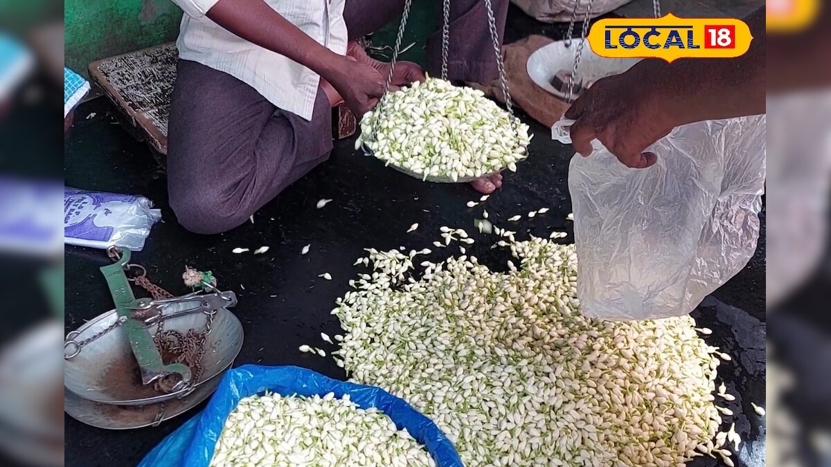 அடிமட்ட விலைக்கு போகும் மதுரை மல்லி... விழி பிதுங்கும் வியாபாரிகள் ? - News18 தமிழ்