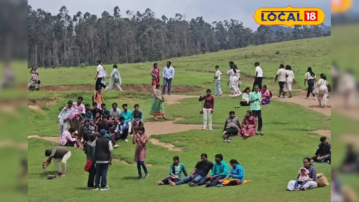 குடும்பத்துடன் டான்ஸ்... கொடைக்கானலில் வார விடுமுறையை என்ஜாய் செய்த சுற்றுலா பயணிகள்..!! - News18 தமிழ்