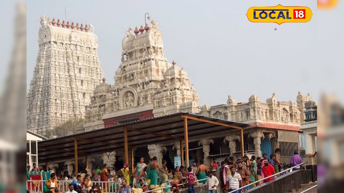 திருச்செந்தூர் கும்பாபிஷேக விழா... ஸ்பெஷல் பஸ் டீடெயில்ஸ் தெரியுமா ? - News18 தமிழ்