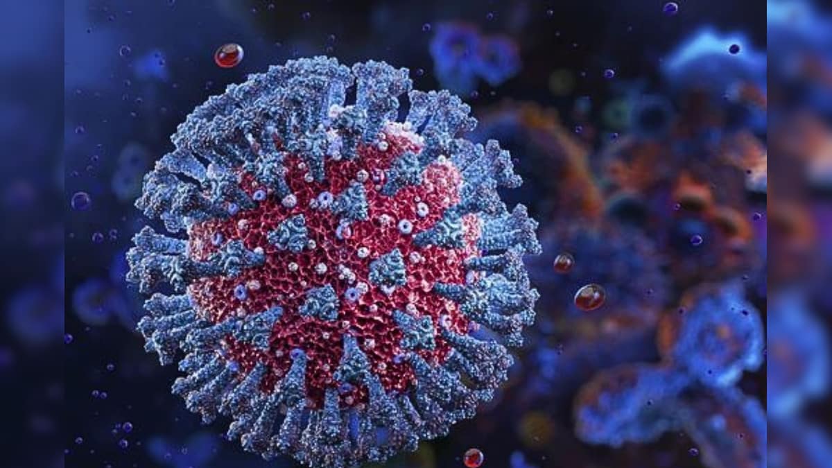 Corona Virus | அமெரிக்காவில் பரவும் புதிய வகை கொரோனா..! அறிகுறிகள் எப்படி இருக்கும் தெரியுமா? - News18 தமிழ்