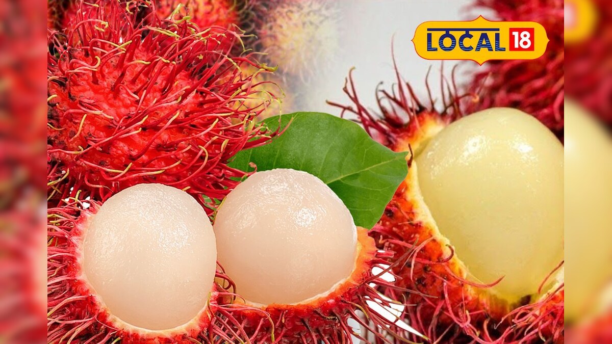 தம்மா துண்டு பழத்துக்குள்ள இவ்வளவு பவரா? ரம்புட்டான் பழத்தில் என்னென்ன சத்துக்கள் இருக்கிறது தெரியுமா..?