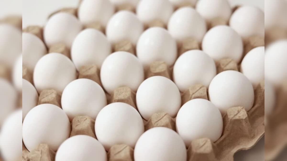 Egg Price : நாளுக்கு நாள் அதிகரிக்கும் முட்டை விலை.. வரலாற்றில் இல்லாத புதிய உச்சம்.. பொதுமக்கள் ஷாக்! | வணிகம் - News18 தமிழ்