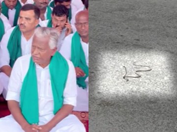 அதிமுக