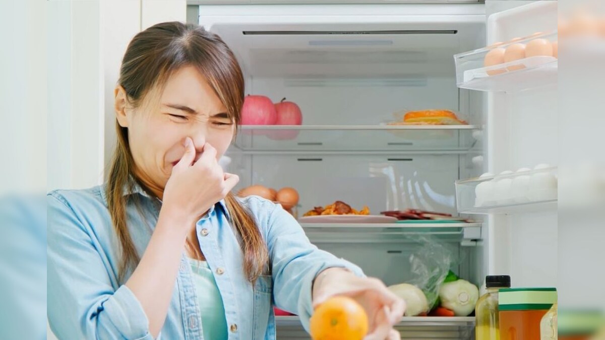 ஃபிரிட்ஜை திறந்தாலே எப்போதும் சகிக்க முடியாத துர்நாற்றம் வருதா..? ஒரு ஸ்பாஞ்ச் போதும்.. எல்லாம் பறந்து போயிடும்..! - News18 தமிழ்