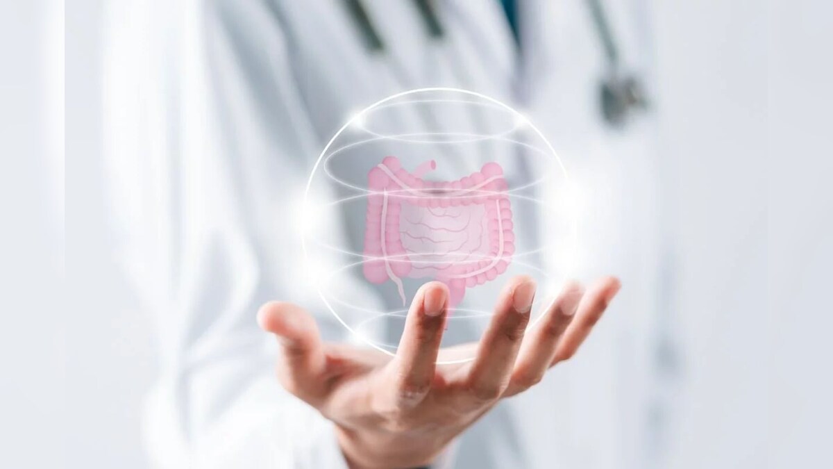 குடல் ஆரோக்கியத்தில் முக்கிய பங்கு வகிக்கும் இயற்கை உணவுகள்.. நிபுணர் தரும் ஆலோசனை!! - News18 தமிழ்